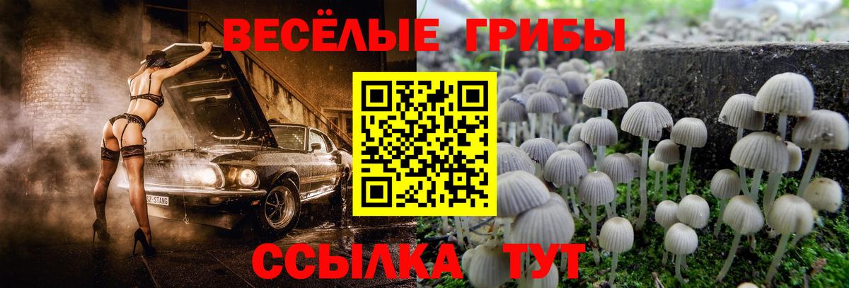 Псилоцибиновые грибы Psilocybe  Вход с VPN  сколько стоит  Качканар 